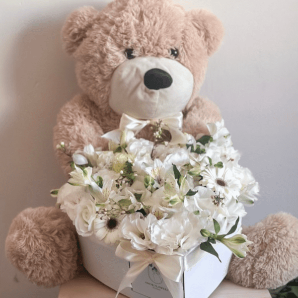 מארז - love bears